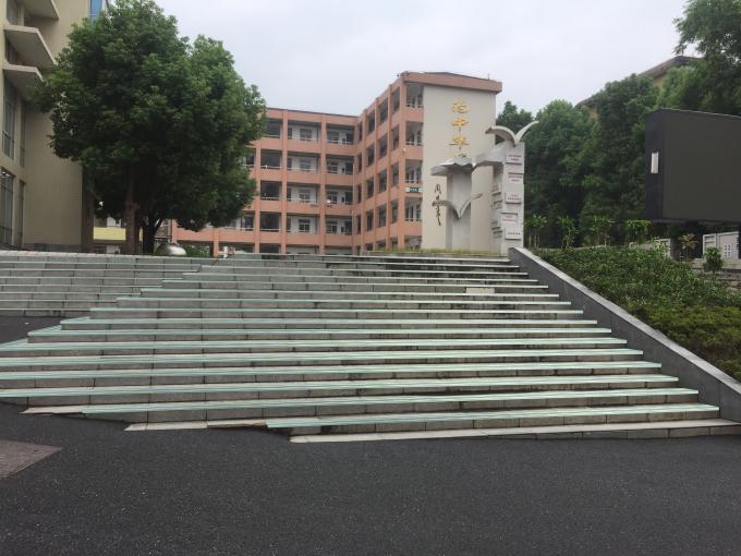 Escalier antidérapage de sécurité luminescente flairant pour le collège supérieur 1